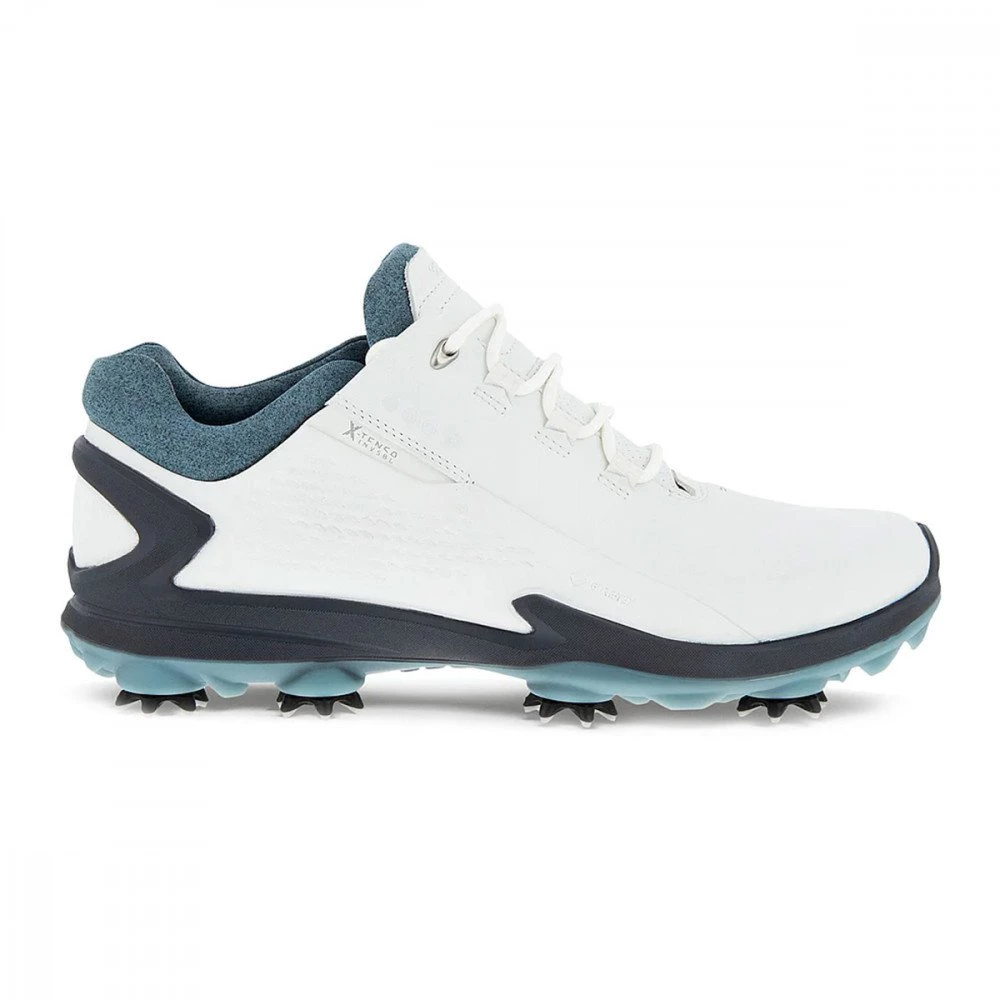 ECCO BIOM G3 GTX 3 ECCO BIOM G3 GTX