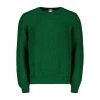 MOLO ELEVEN MAGLIONE GIROCOLLO PUNTO RETE Verde