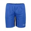 NIKE SHORT DRI-FIT ACADEMY Royal